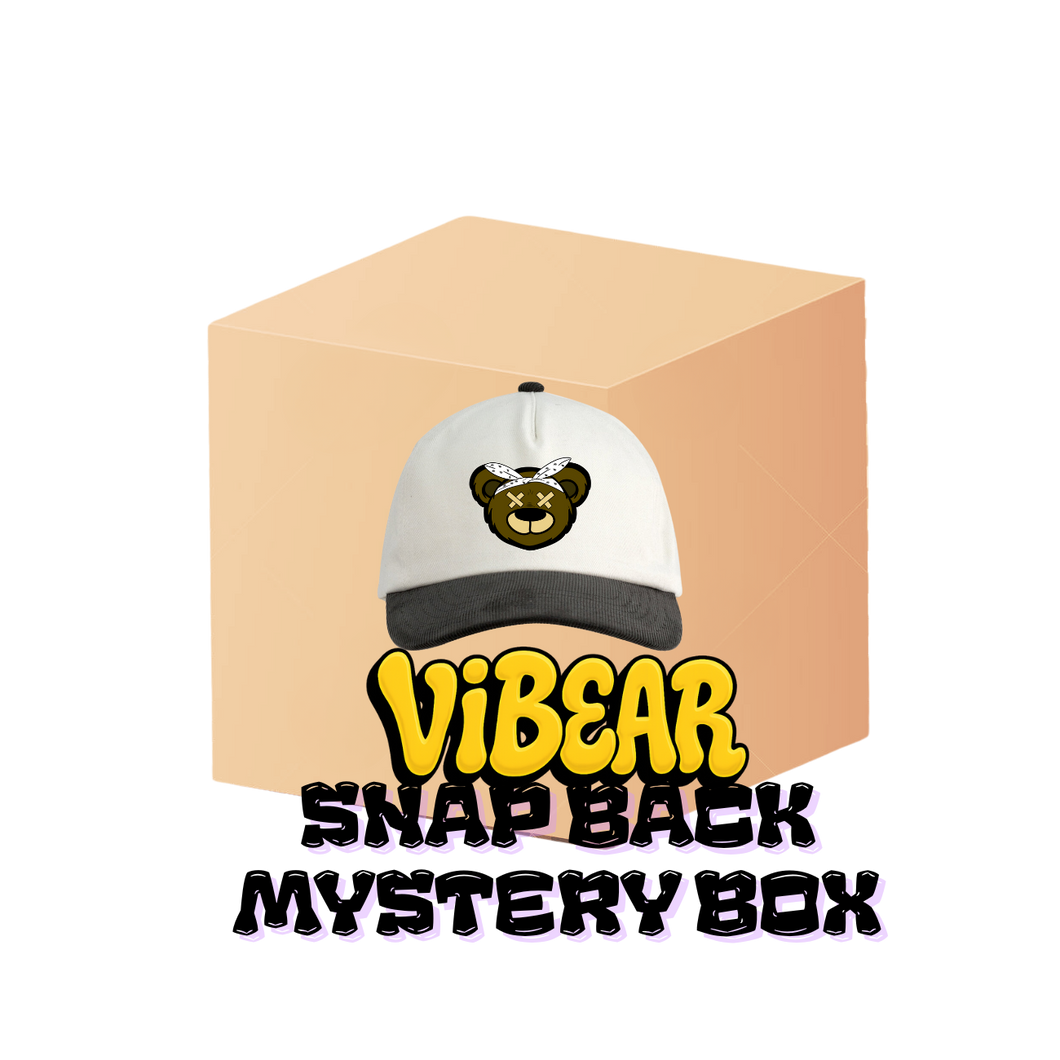 BLACK FRIDAY SNAPBACK MYSTERY BOX